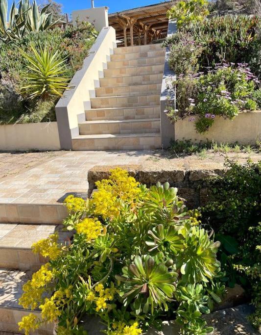 Charmante Petite Maison Magnifique Vue Mer Propriano  Zewnętrze zdjęcie
